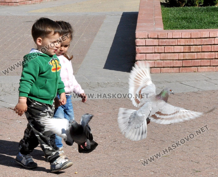 Хасковлии излязоха по парковете на 22 градуса, затоплянето продължава и утре