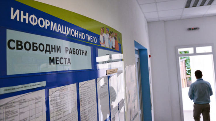 43 са свободните работни места в Димитровград