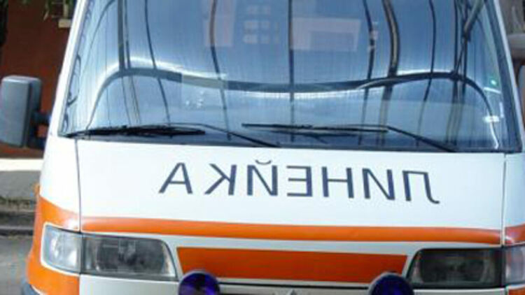 Откриха гол мъж, вързан за дърво под Бузлуджа