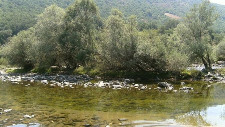 Откриха тялото на млад мъж от Рудозем  във водите на  река Арда