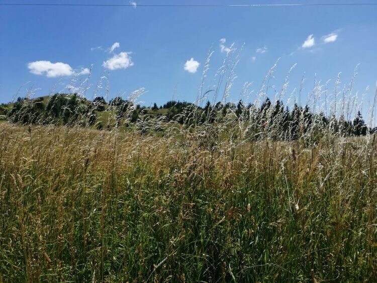 Облачността се разкъсва и намалява, но не са изключени слаби валежи