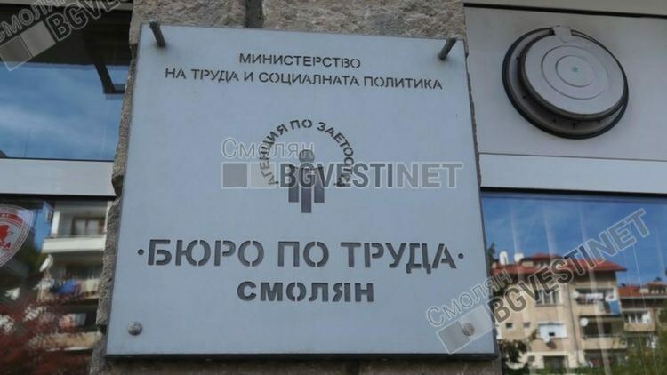 Бюрото по труда организира трудова борса за предлагащите и търсещи работа