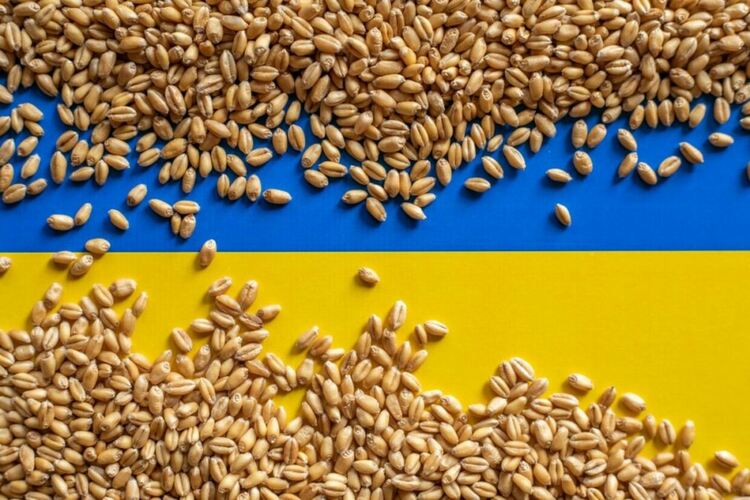 Министрите на земеделието от ЕС обсъждат обща позиция за украинското зърно
