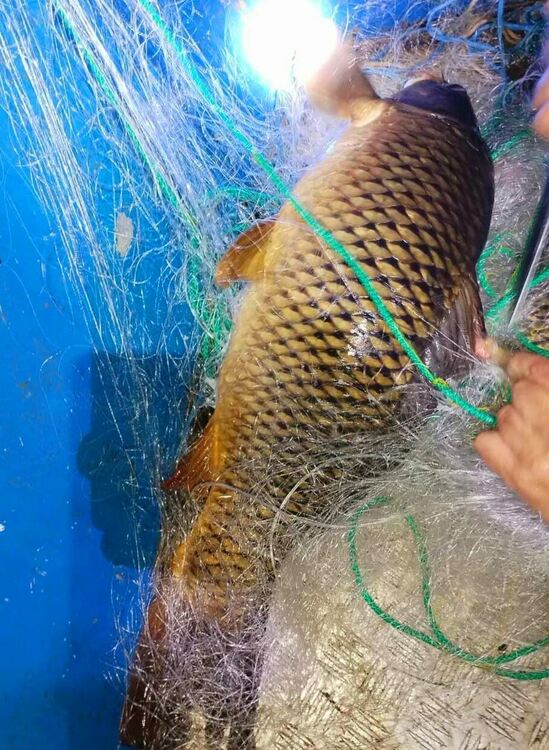 Нощна проверка на язовир в Кърджали установи 140 метрови мрежи