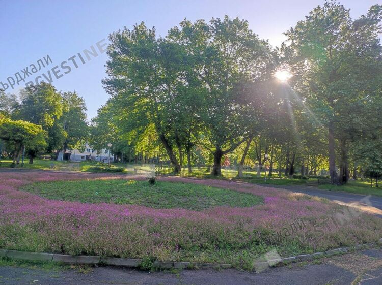Променлива облачност днес над Кърджали,ветровито