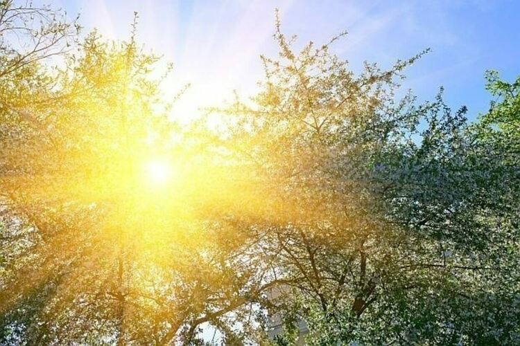 Предимно слънчево с разкъсана висока облачност в сряда