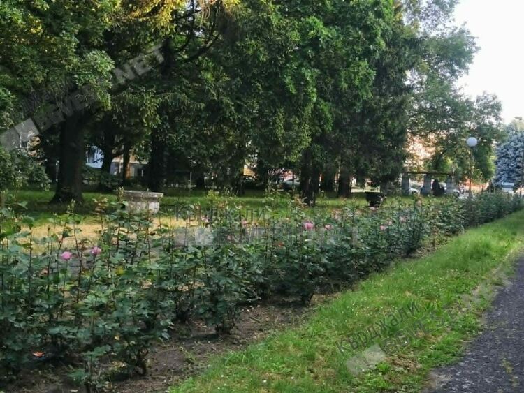 Предимно слънчево днес в Кърджали,очаква се слаб дъжд