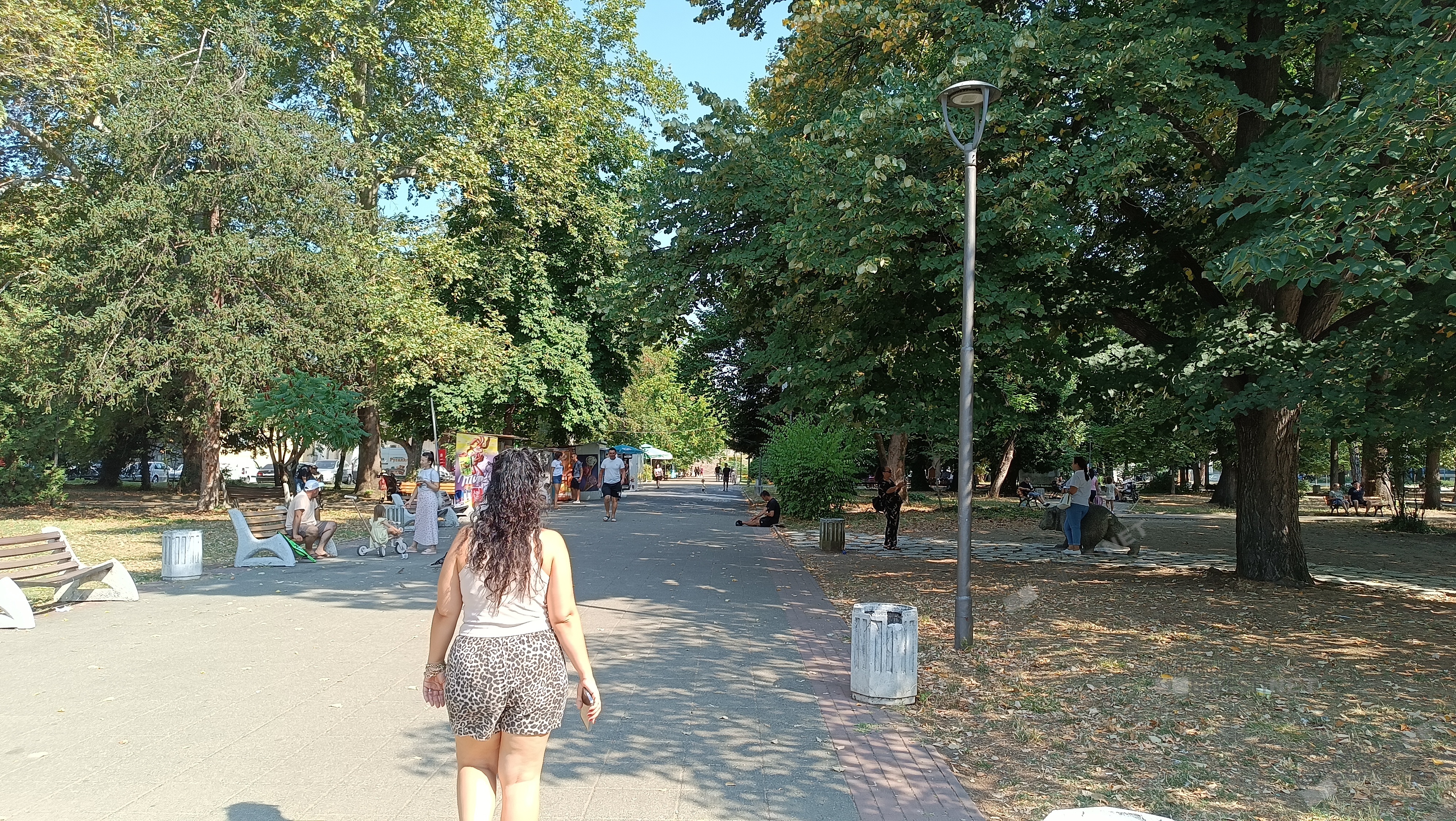 Слънчево със слаб вятър ще бъде времето днес в Кърджали
