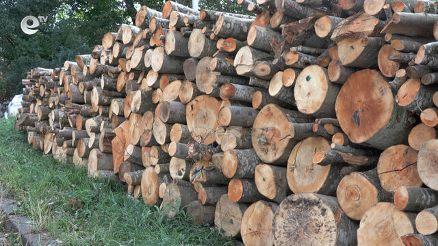 С 30 % е намаляло търсеното на дърва за огрев в област Смолян